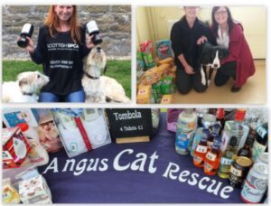 dundee-cat-and-dog-rescue-shelter-and-rehoming-centers